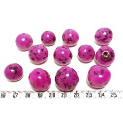 Paxi violet