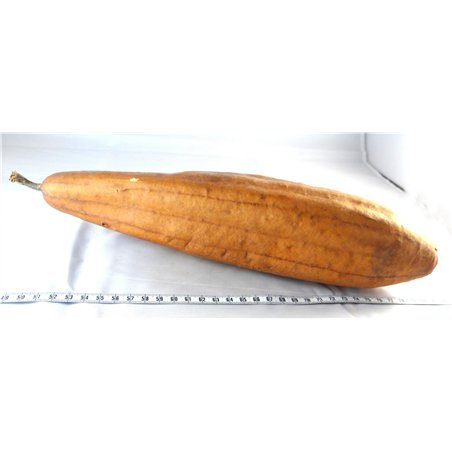 Torchon fruit