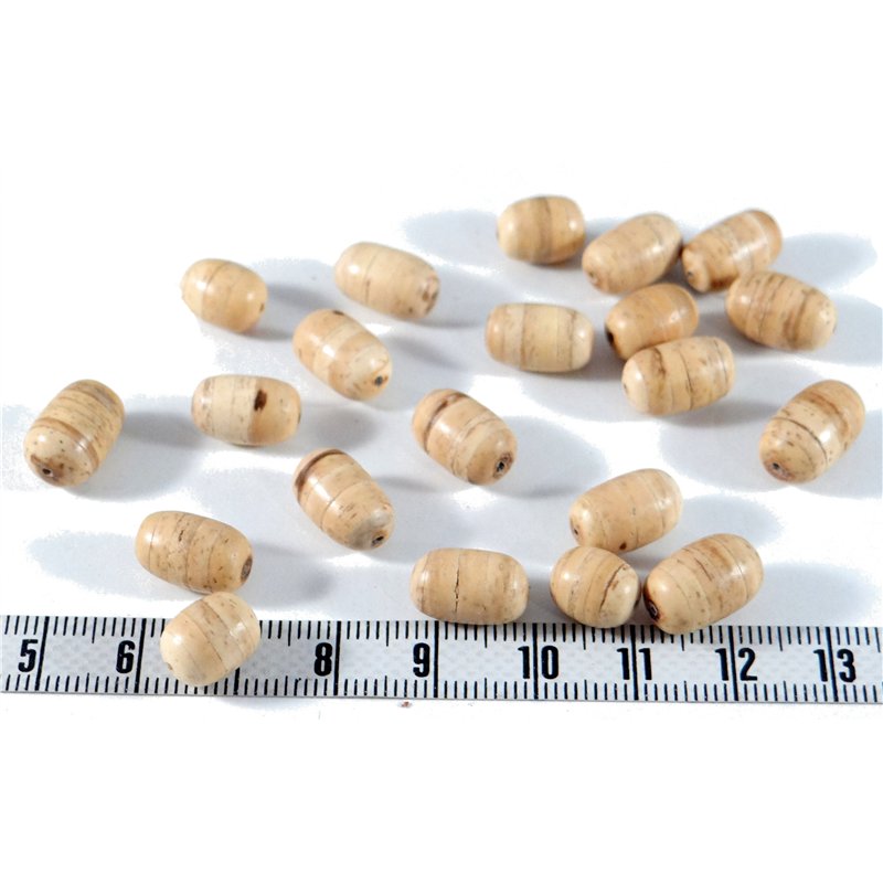 Coco olive 10mm blanc