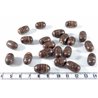 Coco olive 18mm marron