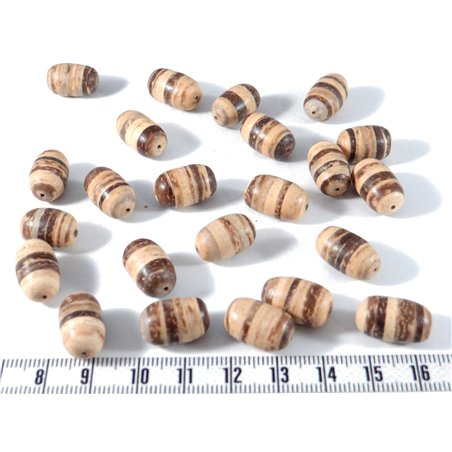 Coco olive 18mm marron/beige