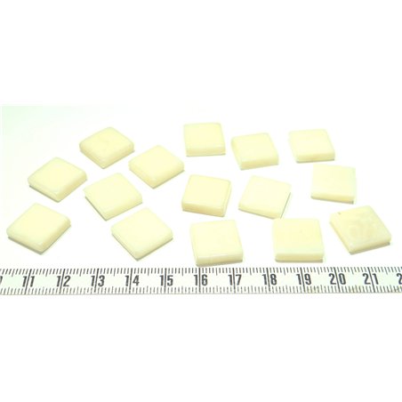 Tagua carre 15mm blanc