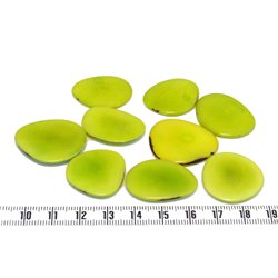 Tagua lame   moyenne vert