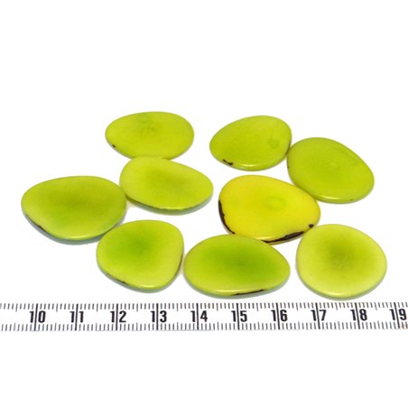 Tagua lame   moyenne vert