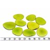 Tagua lame   moyenne vert