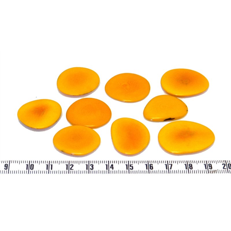 Tagua lame   moyenne orange