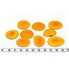 Tagua lame   moyenne orange
