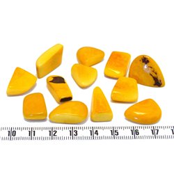 Tagua éclat orange