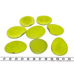 Tagua lame  grande vert