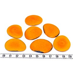 Tagua lame  grande orange