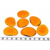 Tagua lame  grande orange