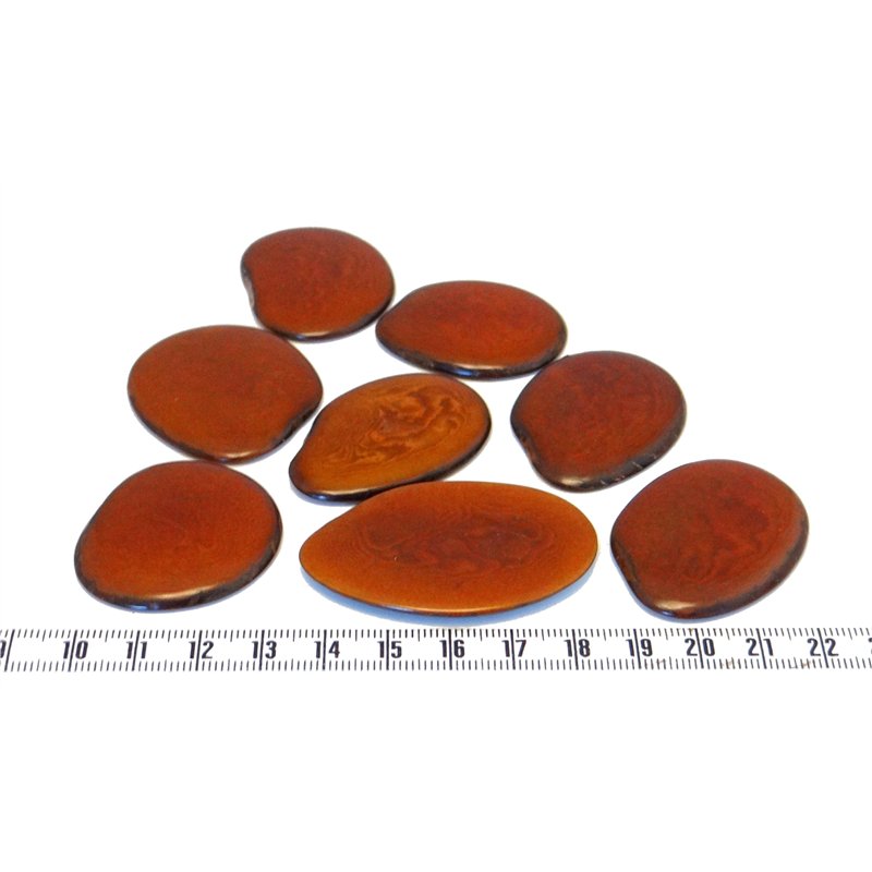 Tagua lame  grande marron