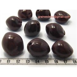 Noix de Bancoule marron