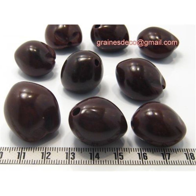 Noix de Bancoule marron