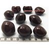 Noix de Bancoule marron