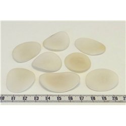 Tagua pétale grande blanc