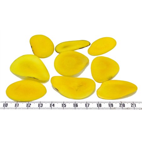 Tagua pétale grande orange