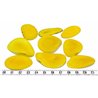 Tagua pétale grande orange