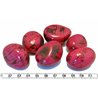 Tagua graine  nature