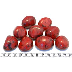 Tagua graine marbrée 3 cm rouge