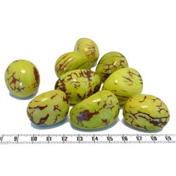 Tagua graine marbrée 3 cm vert