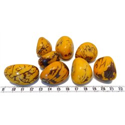Tagua graine marbrée 3 cm orange