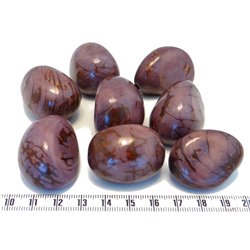 Tagua graine marbrée 3 cm violet