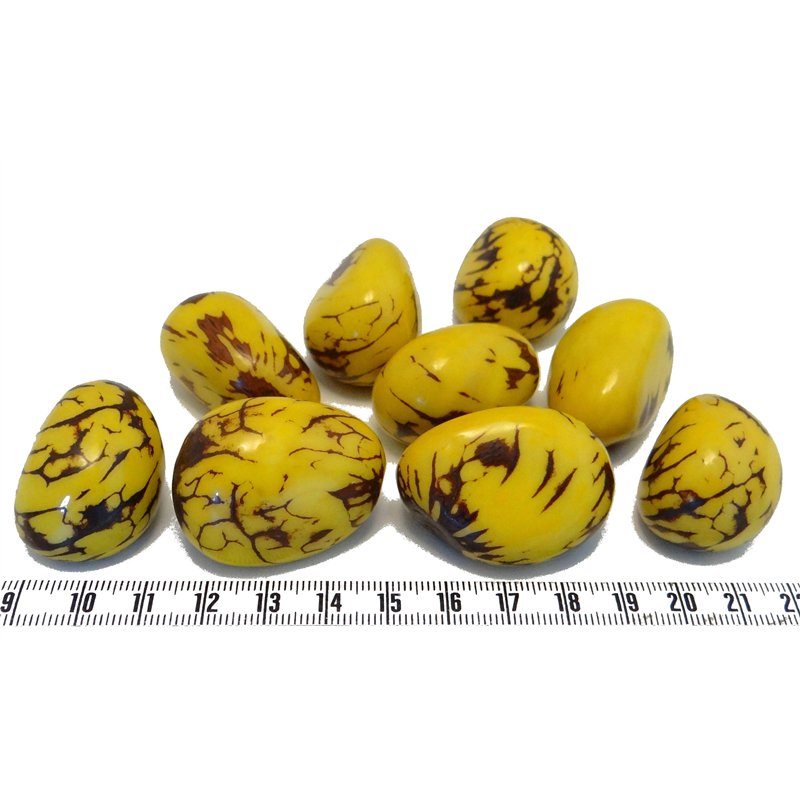 Tagua graine marbrée 3 cm jaune