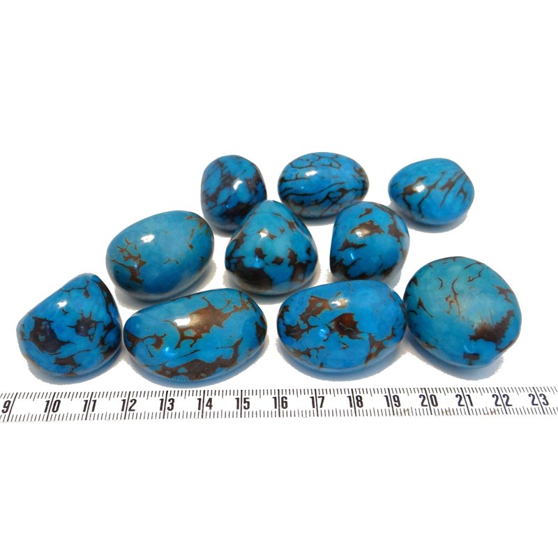 Tagua graine marbrée 3 cm bleu