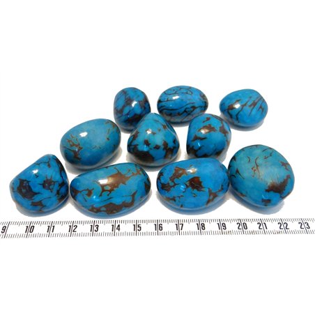 Tagua graine marbrée 3 cm bleu