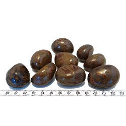 Tagua graine marbrée 3 cm marron