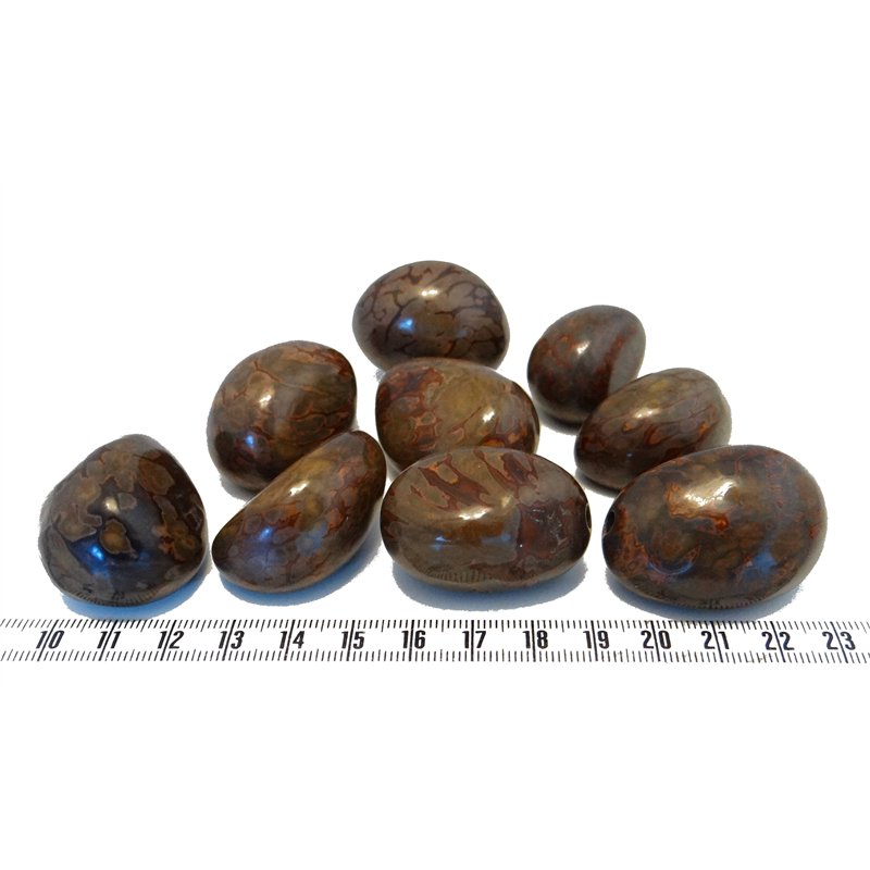 Tagua graine marbrée bleu