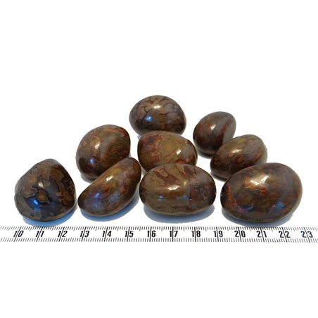 Tagua graine marbrée bleu
