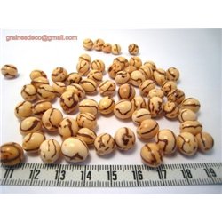 Acai  cérébro