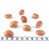 Argan
