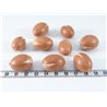 Argan