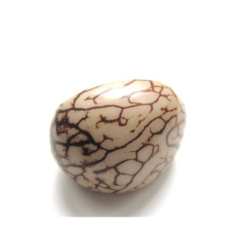 Tagua graine marbrée 3 cm