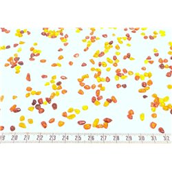 Ambre rocaille