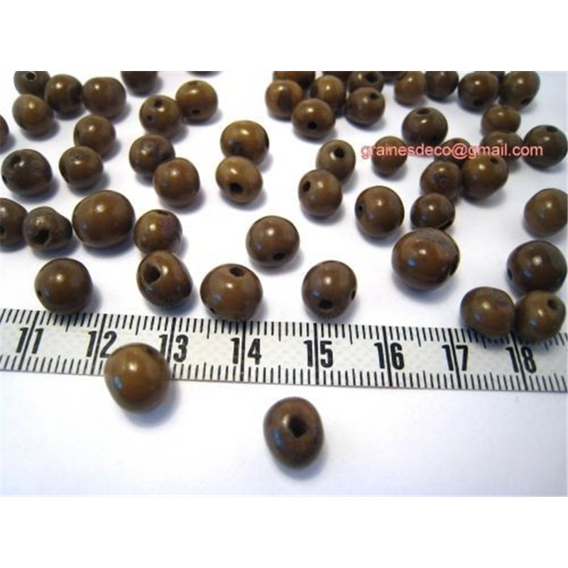 Acai vert militaire