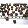 Acai vert militaire
