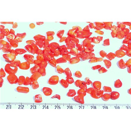 Corail rouge rocaille