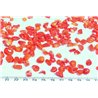 Corail rouge rocaille