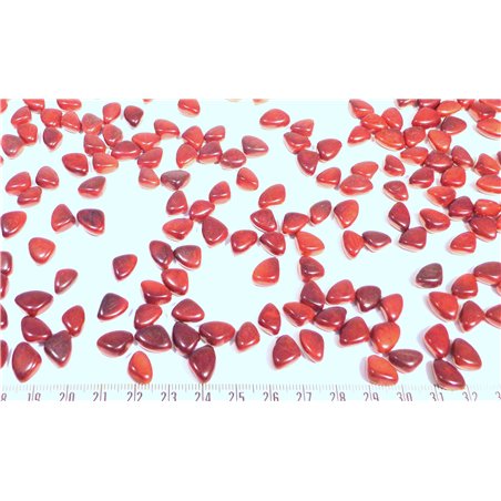 Tagua rocaille  rouge brique