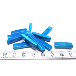 Tagua fritelle bleu