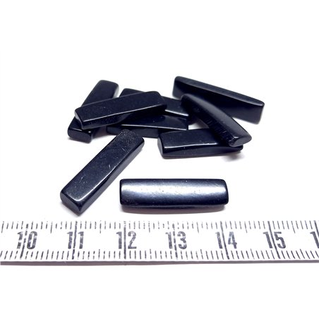 Tagua fritelle noire