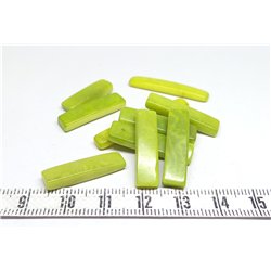 Tagua fritelle vert