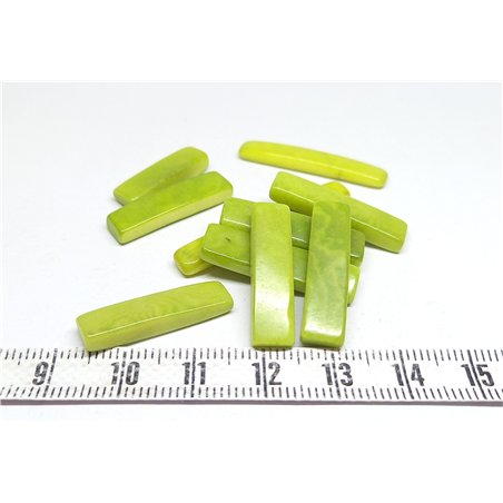 Tagua fritelle vert