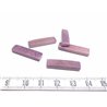 Tagua fritelle violet