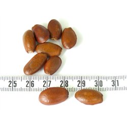 Pomme cannelle